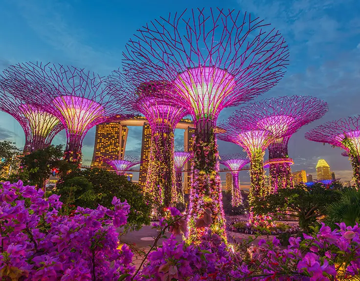Visit the Gardens by the Bay