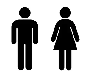 Male And Female Body Shape